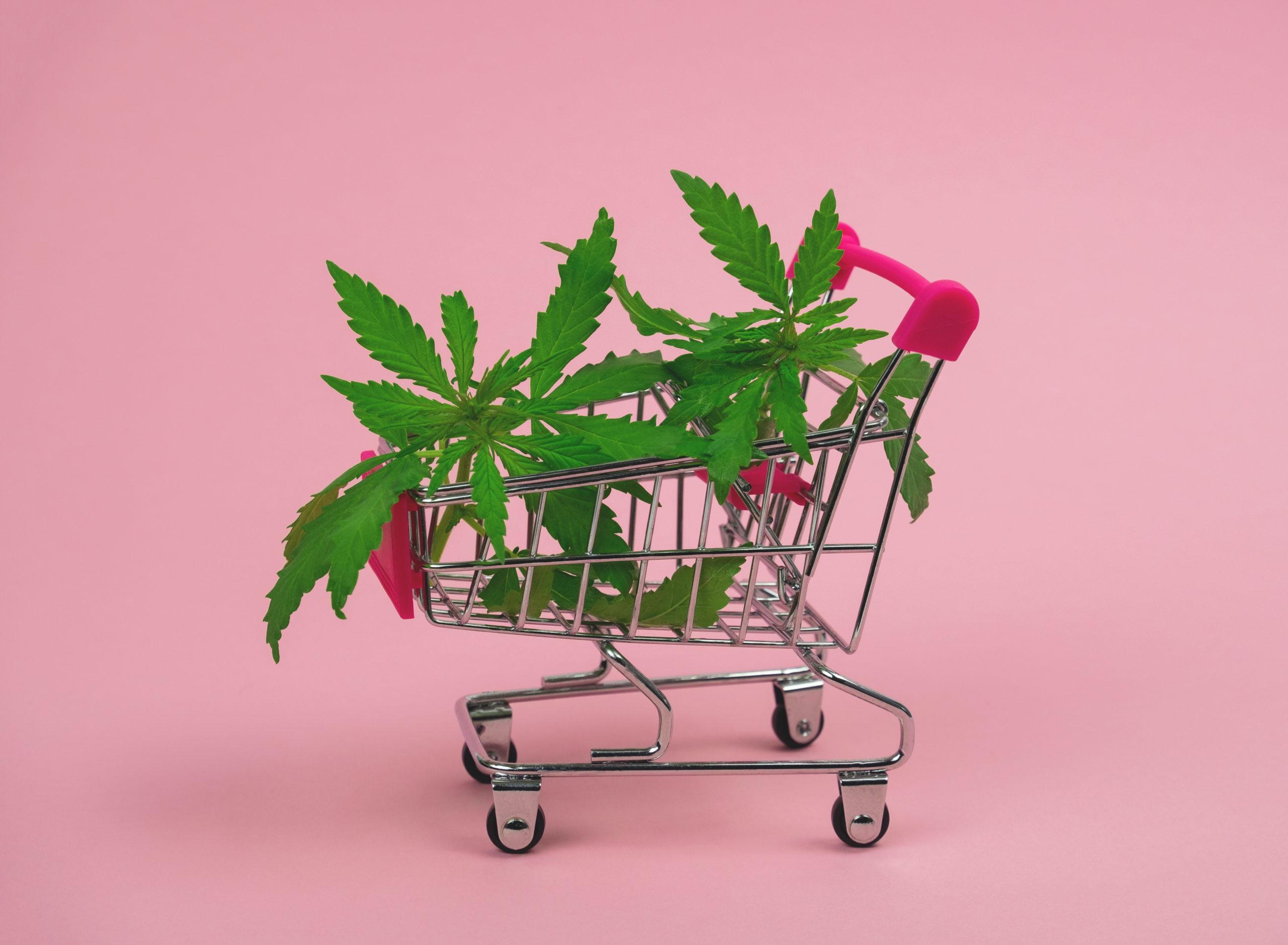 Cannabis Payment Options