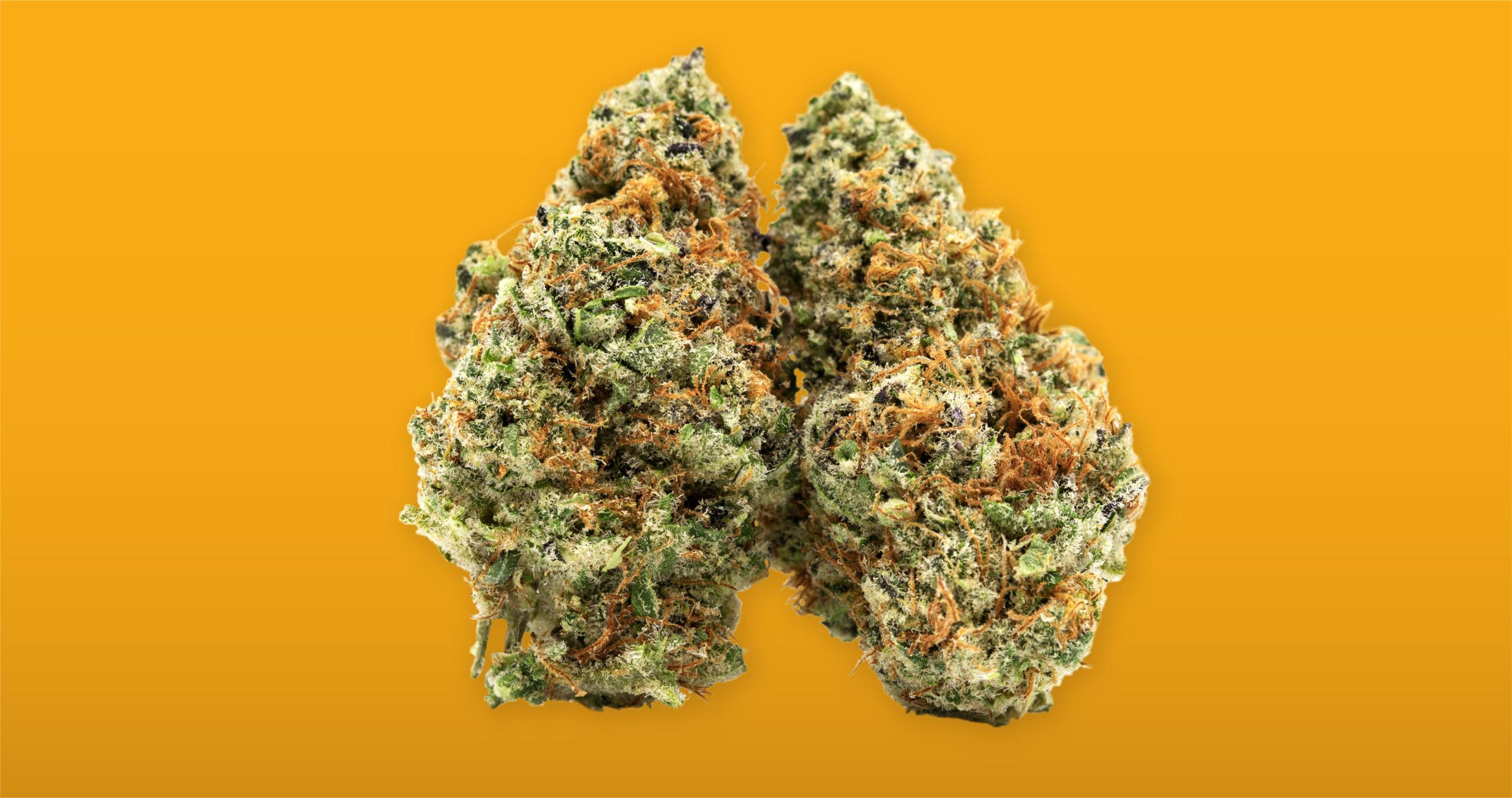 Cannabis Terpenes