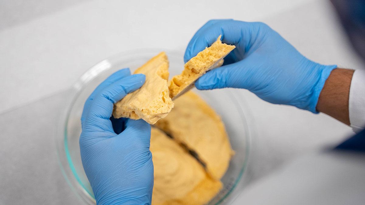 Cannabis Testing