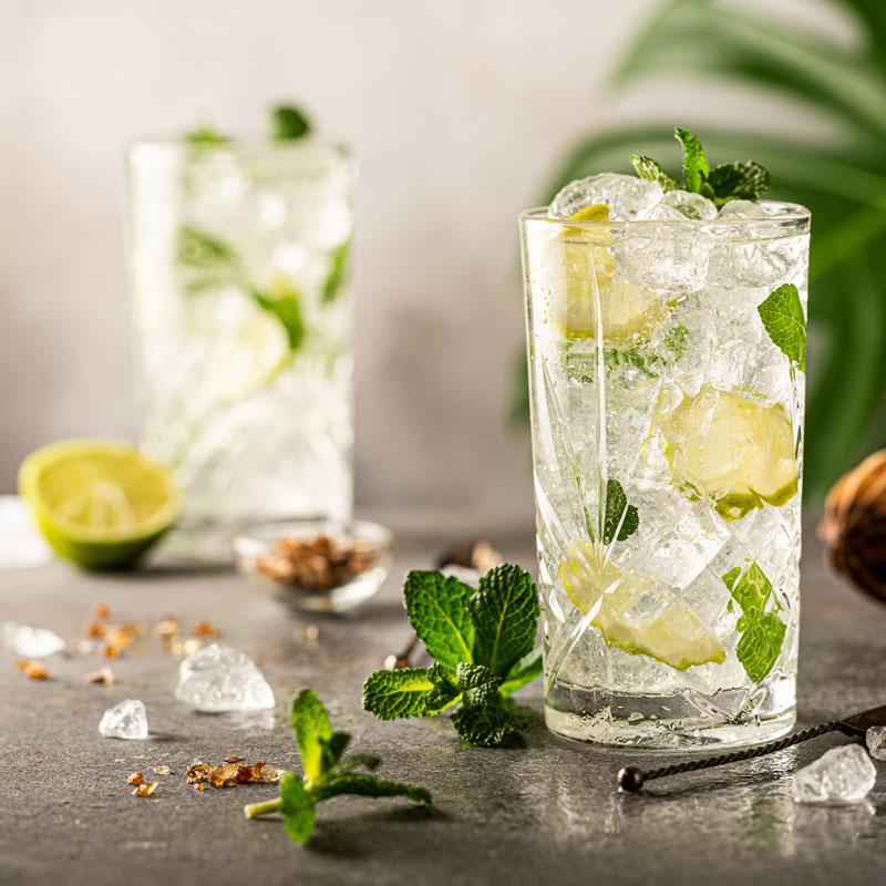 The Nojito