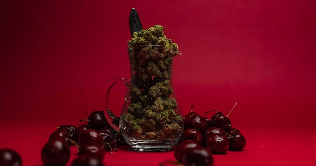 Featured Strain Cherry Punch
