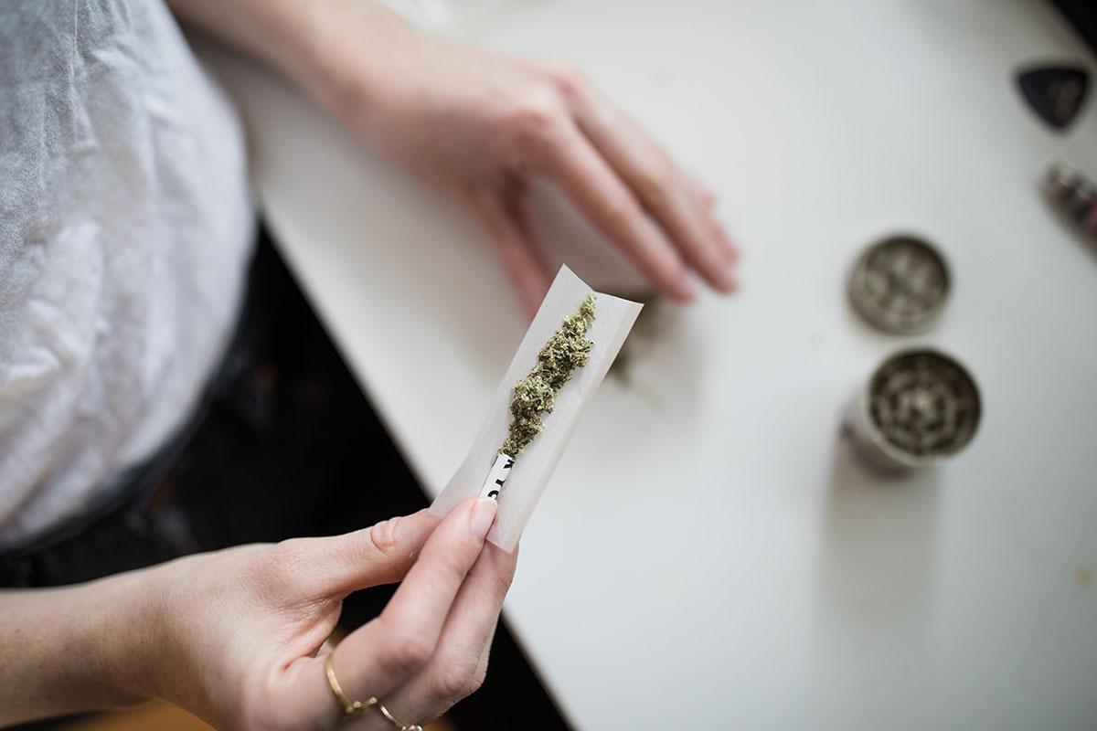 Cannabis and the Gut