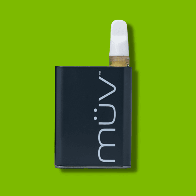 MÜV CCELL Palm