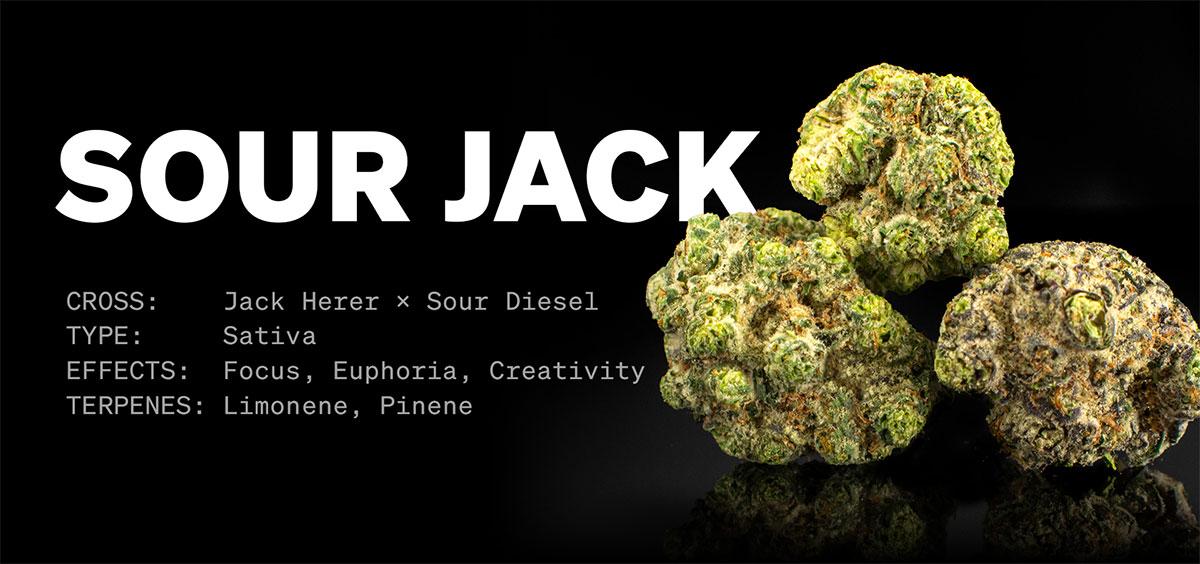 Sour Jack Strain Details