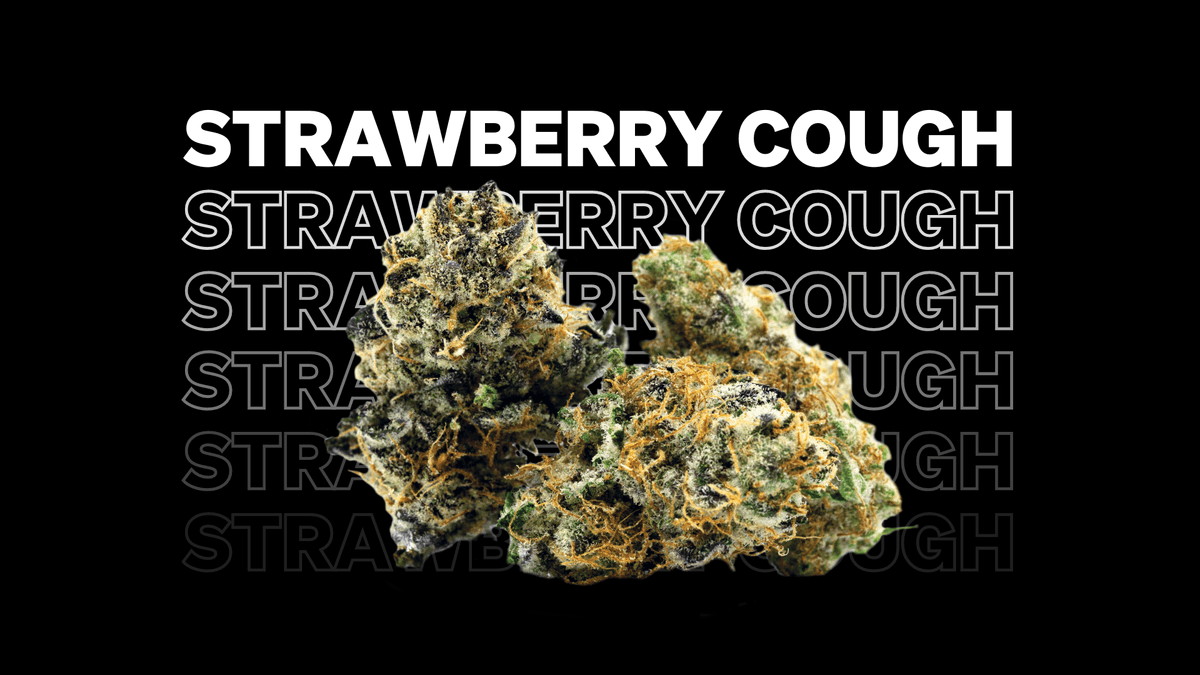 Strawberry Cough Strain: Potency, Effects, & Terpene Profile | MÜV