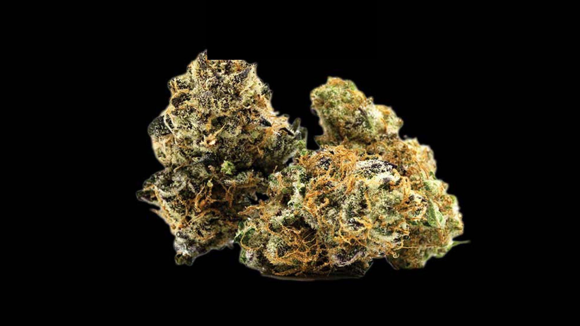 Strawberry Cough Strain