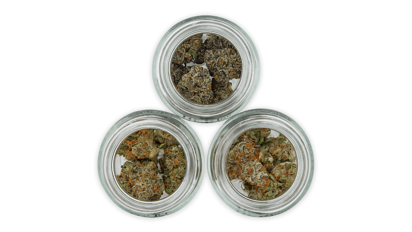flower in jars