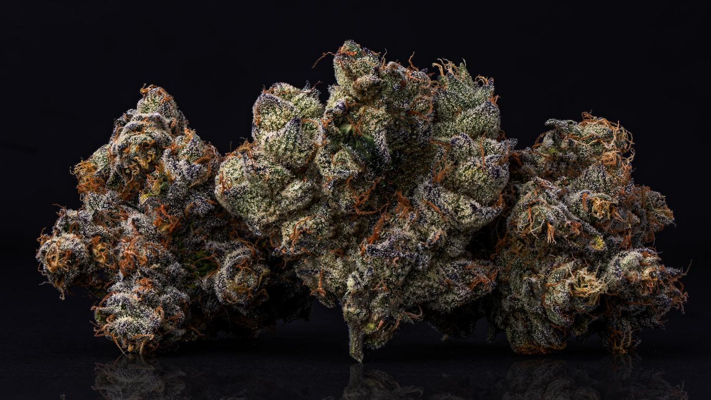 sour jack flower