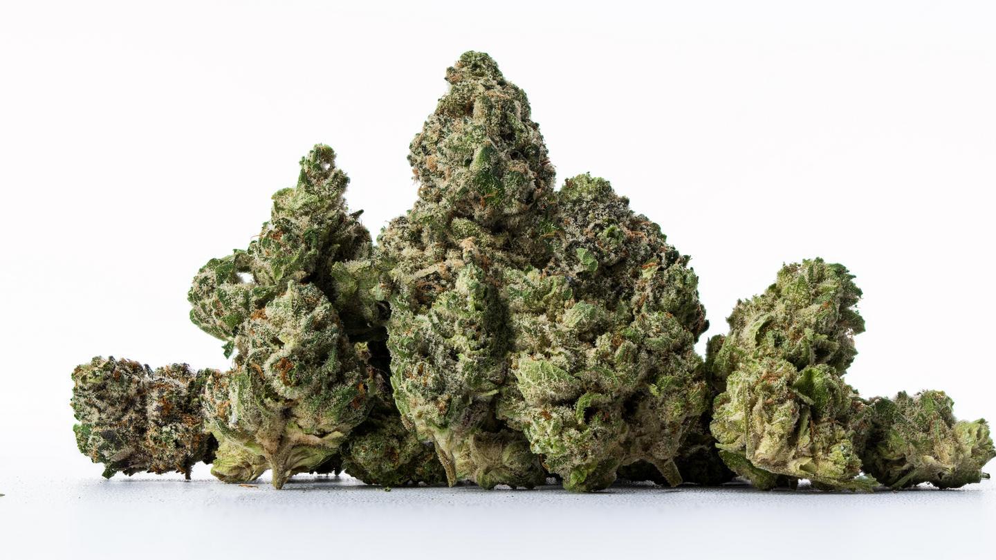 cold fusion strain