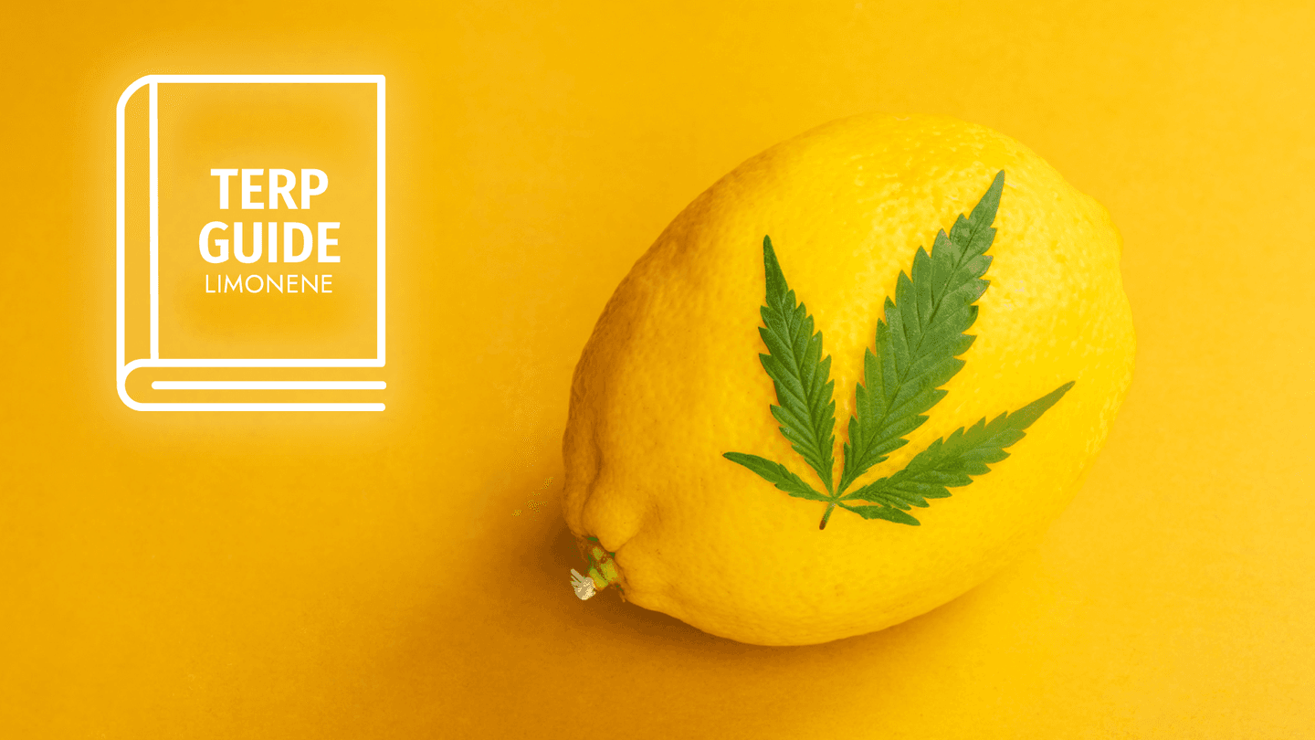 limonene terp guide