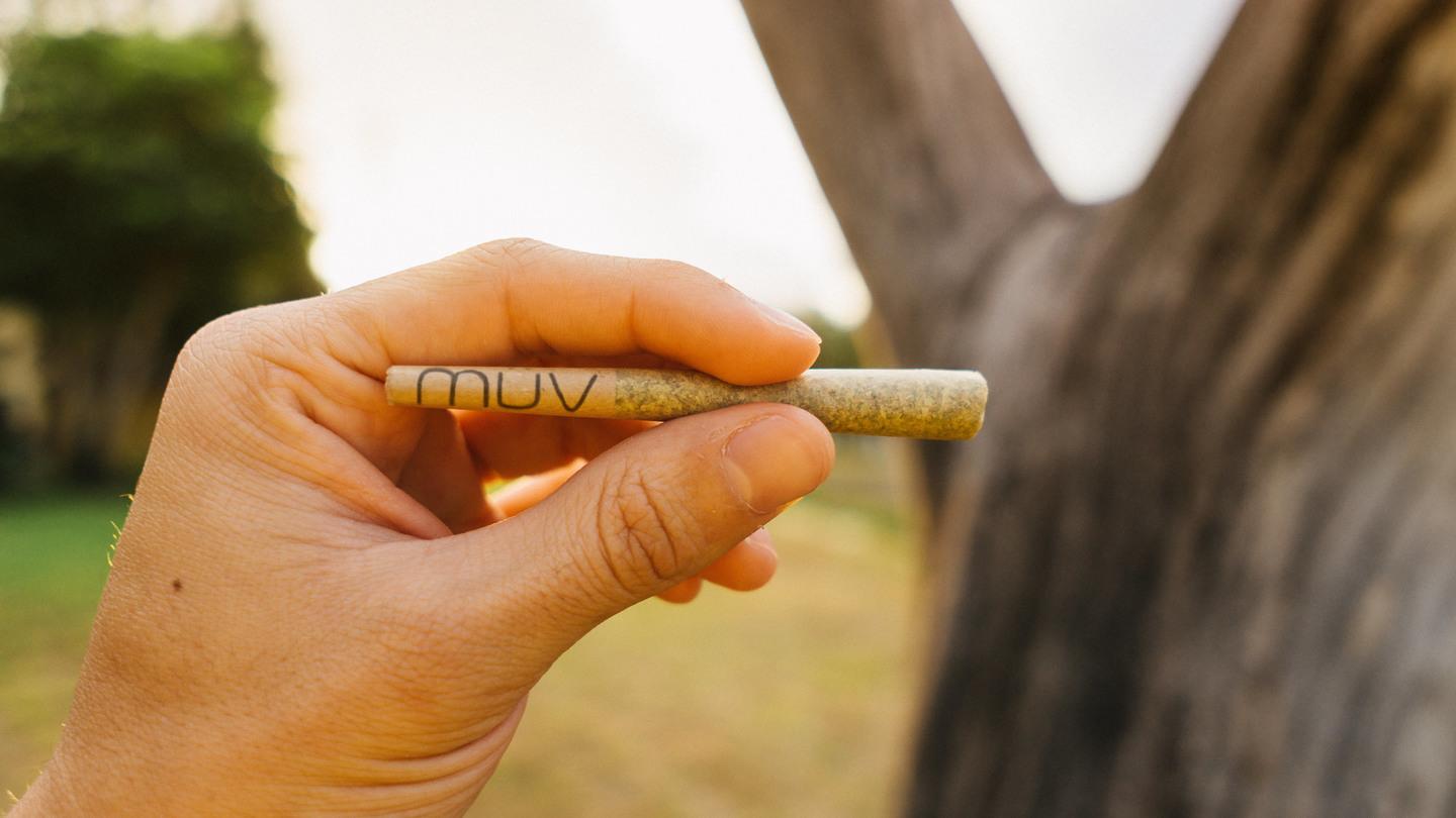 joint vs. blunt