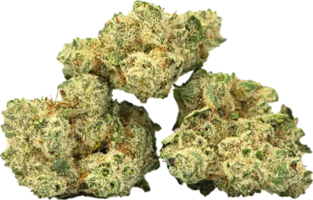 Burmese Kush