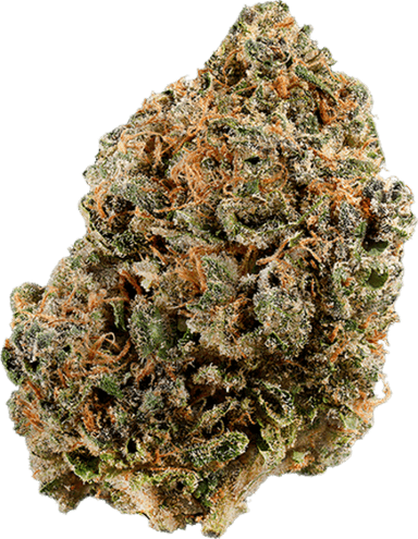 Cherry Gorilla