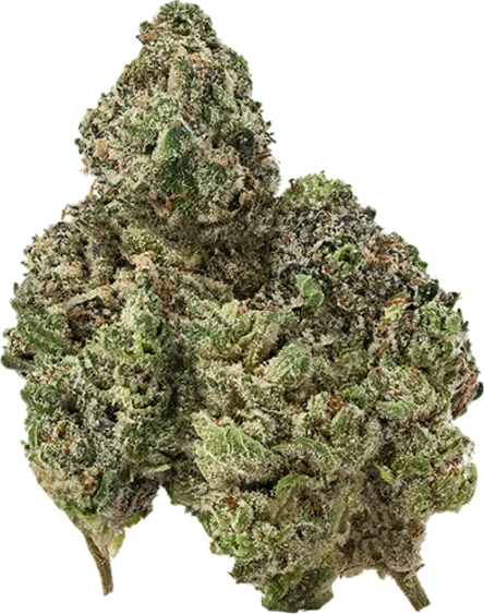 Cold Fusion