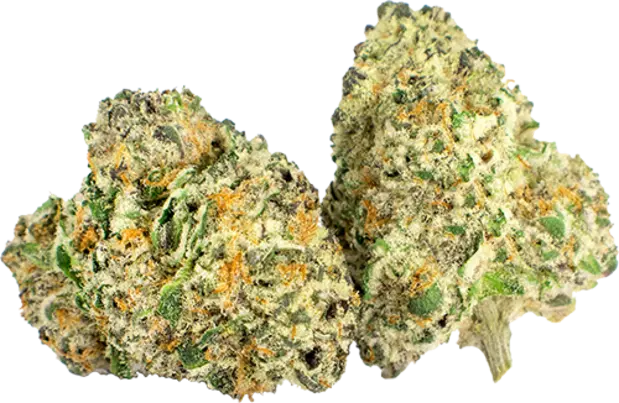Grape Bubblegum