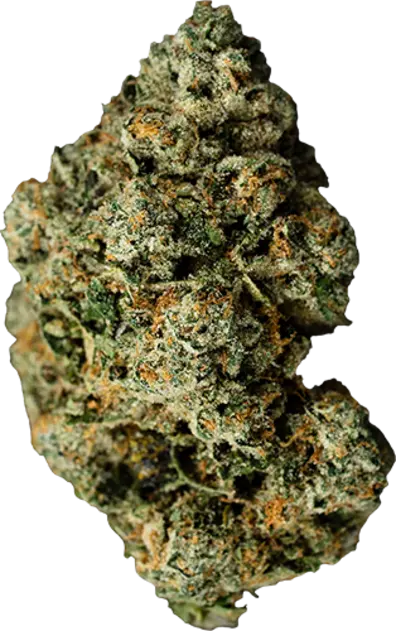 Jet Fuel Gelato
