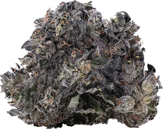 Mint Diesel