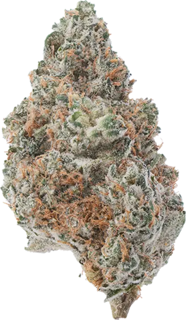 Mint Shake