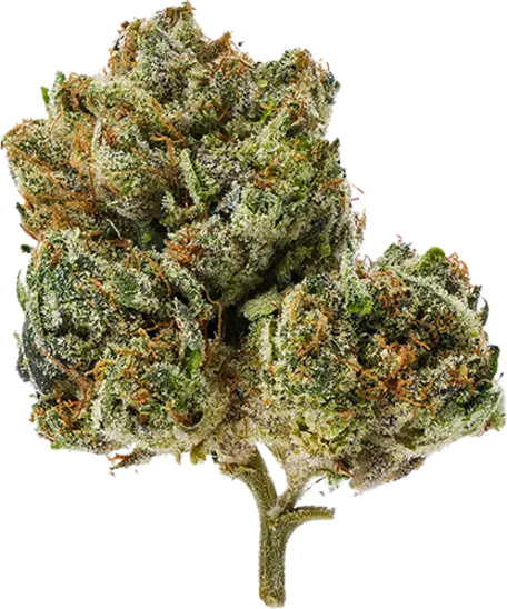 Passionfruit Gelato
