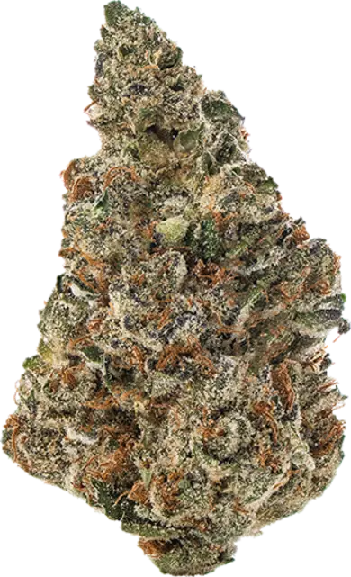 Pink Certz