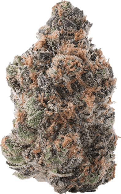 Purple Lemon Punch