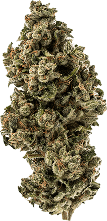 South Beach Sunrise image 1