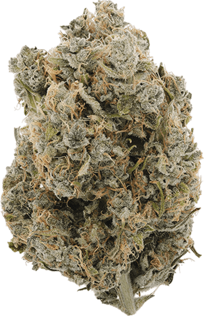 Strawberry Cough