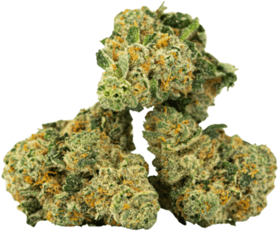 Sour OG