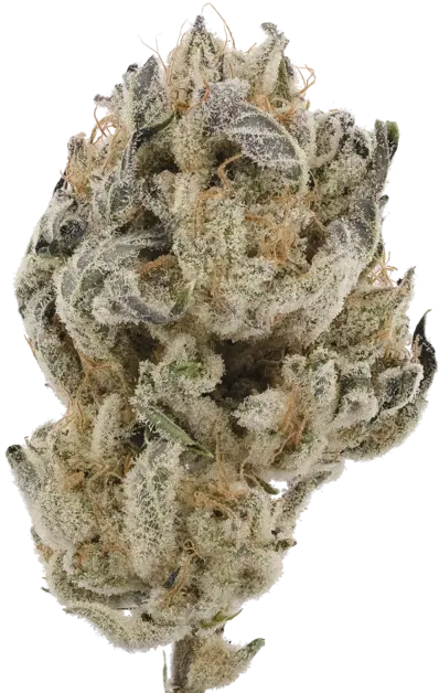 Grape Cream Cake