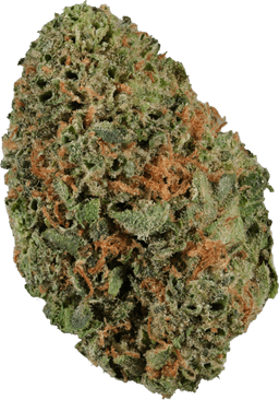 Guava Jam