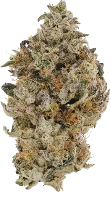 Berry a la Mode