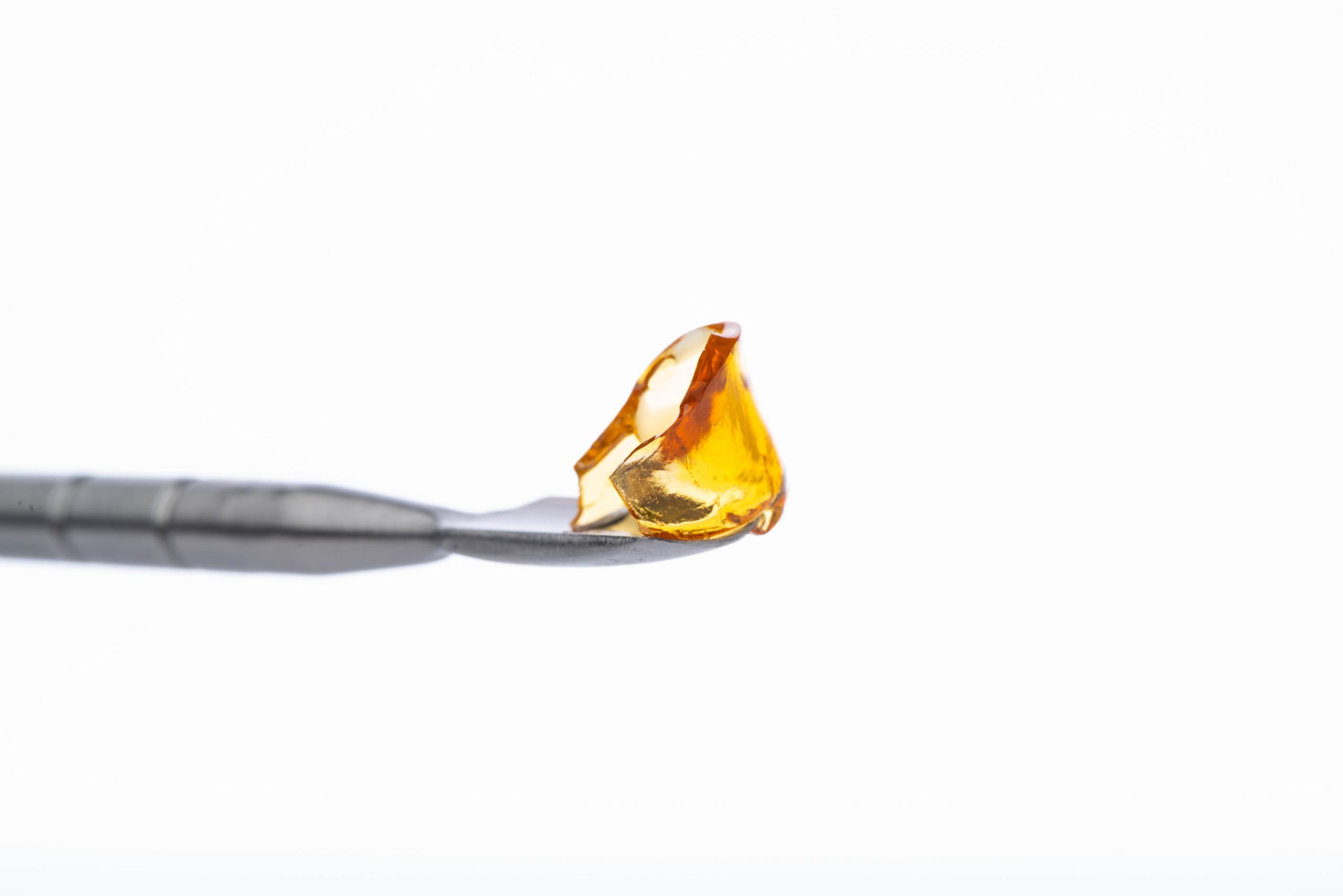 Solvent-free Cannabis Shatter