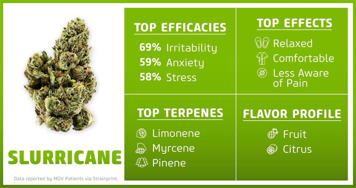 Terpene Profile for Slurricane