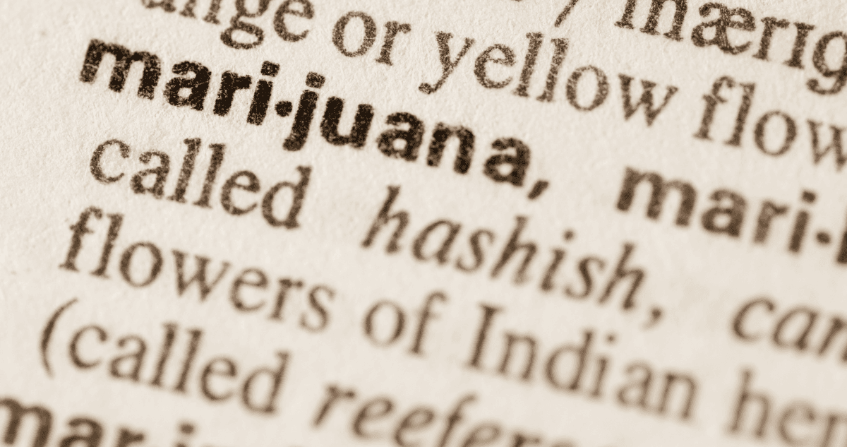 What is Marijuana | Marijuana Defined