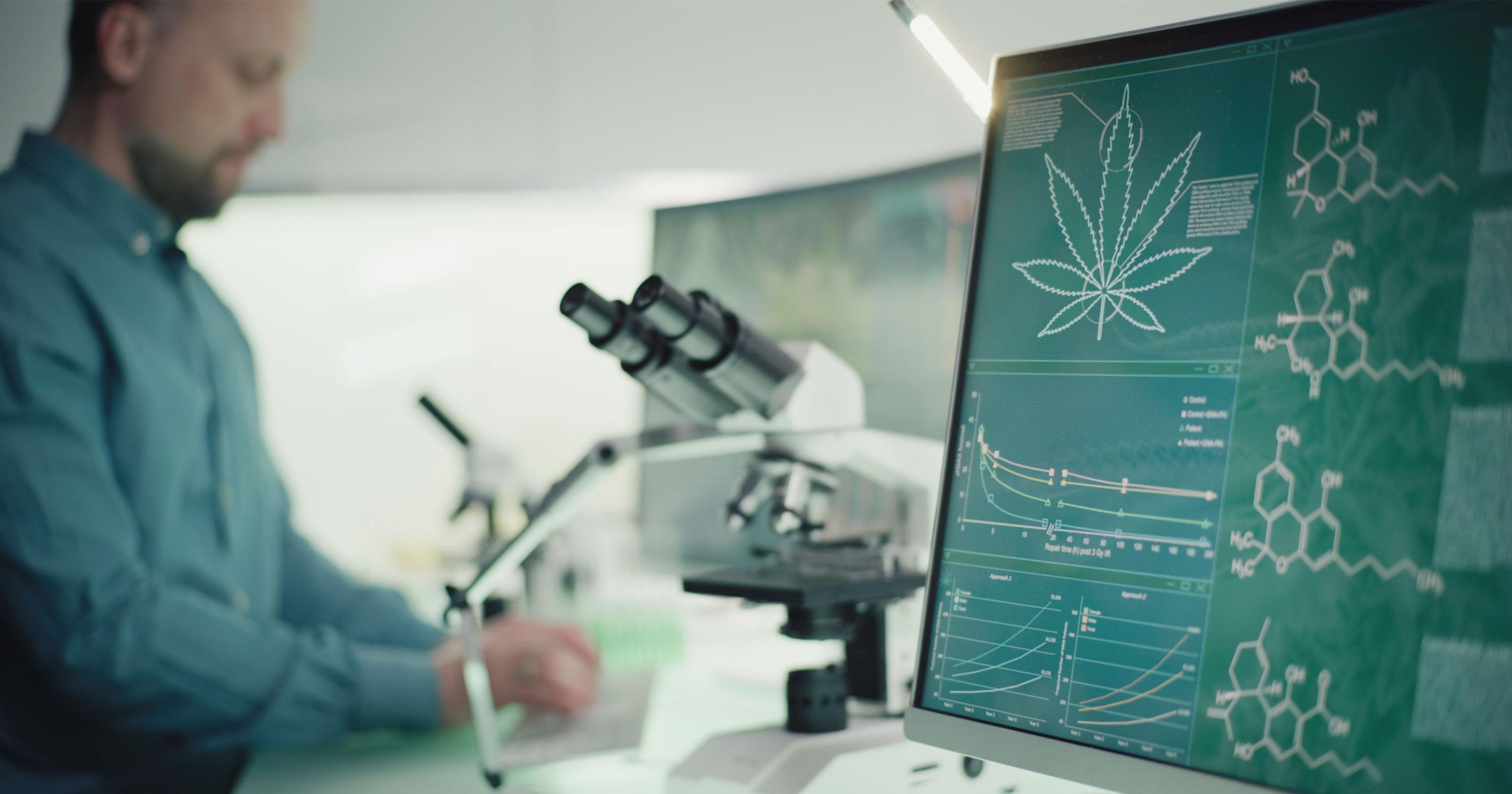 How Does Cannabis Affect the Gut Microbiome?