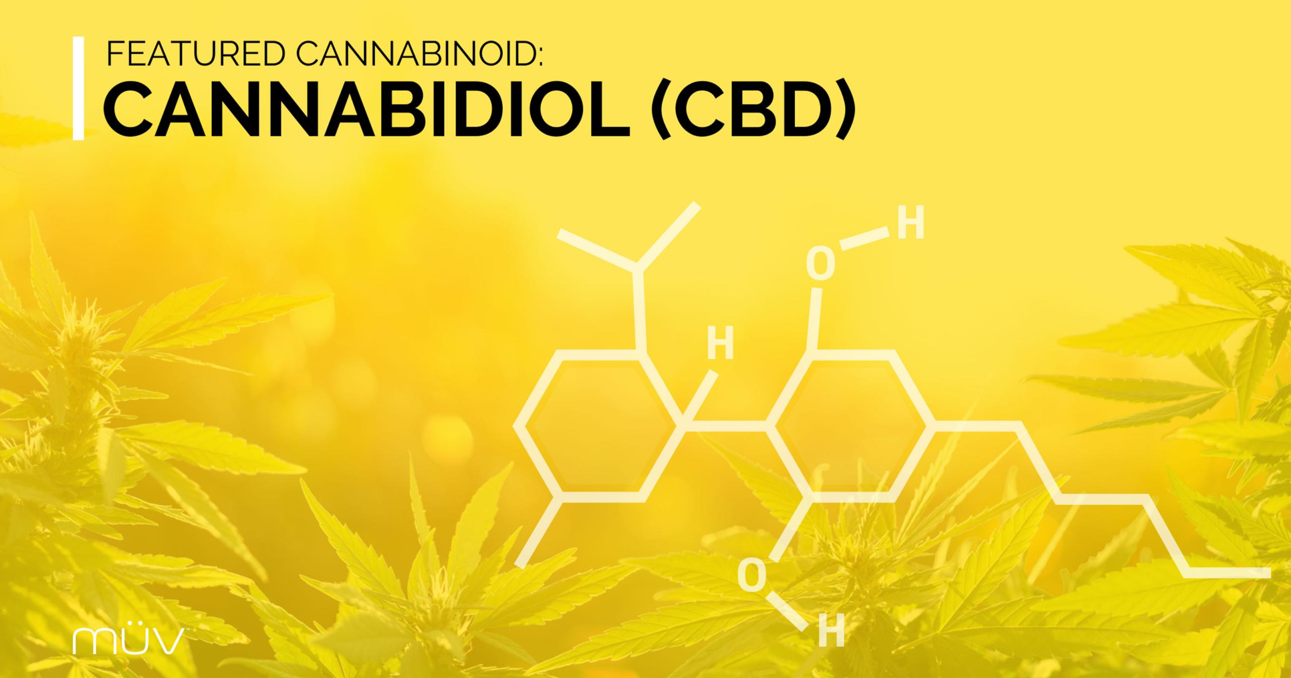 Featured Cannabinoid: Cannabidiol
