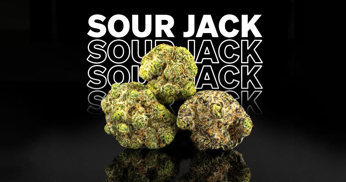 Featured Strain: Sour Jack